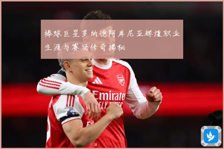 棒球巨星罗纳德阿库尼亚辉煌职业生涯与赛场传奇揭秘