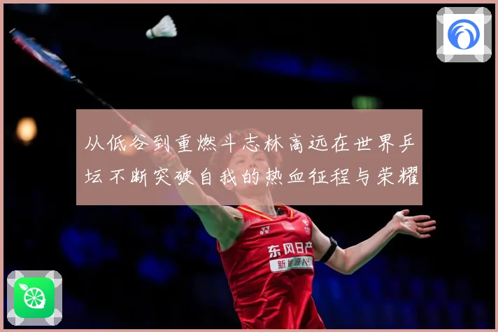 从低谷到重燃斗志林高远在世界乒坛不断突破自我的热血征程与荣耀梦想